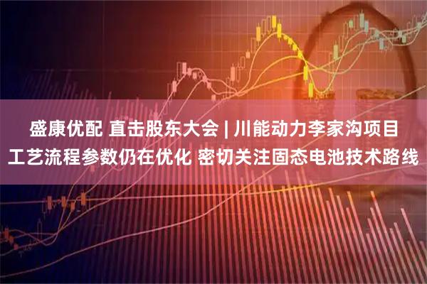 盛康优配 直击股东大会 | 川能动力李家沟项目工艺流程参数仍在优化 密切关注固态电池技术路线