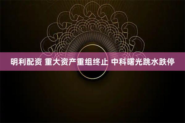 明利配资 重大资产重组终止 中科曙光跳水跌停