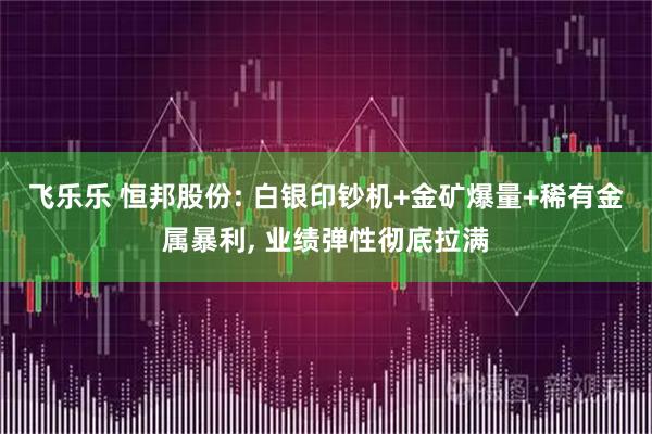 飞乐乐 恒邦股份: 白银印钞机+金矿爆量+稀有金属暴利, 业绩弹性彻底拉满