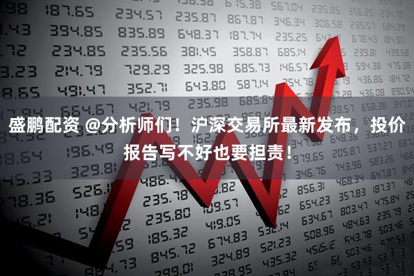 盛鹏配资 @分析师们！沪深交易所最新发布，投价报告写不好也要担责！