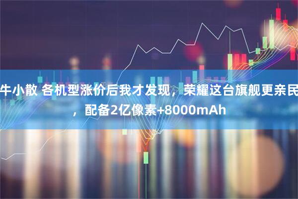 牛小散 各机型涨价后我才发现，荣耀这台旗舰更亲民，配备2亿像素+8000mAh